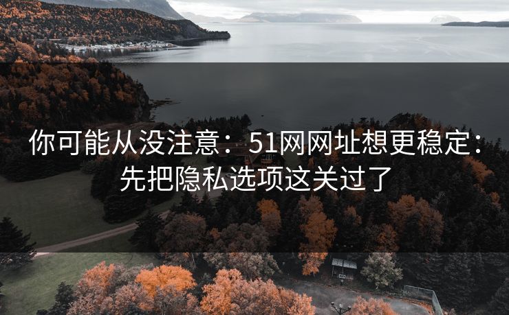 你可能从没注意：51网网址想更稳定：先把隐私选项这关过了  第1张