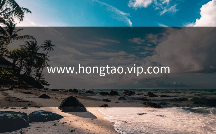 www.hongtao.vip.com