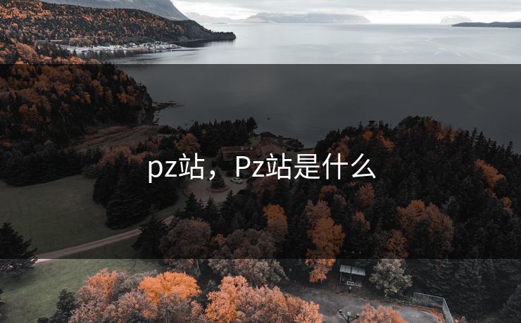 pz站,Pz站是什么 pz站,Pz站是什么