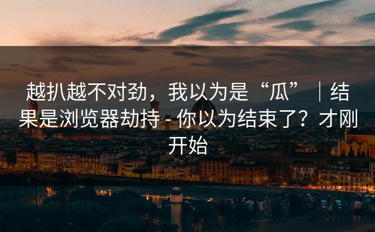 越扒越不对劲，我以为是“瓜”｜结果是浏览器劫持 - 你以为结束了？才刚开始